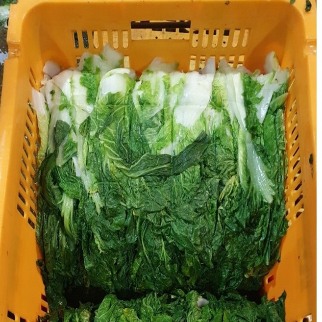 배추우거지10kg 생지 급냉 국산100% A급 시래기 10kg 1개, 10kg