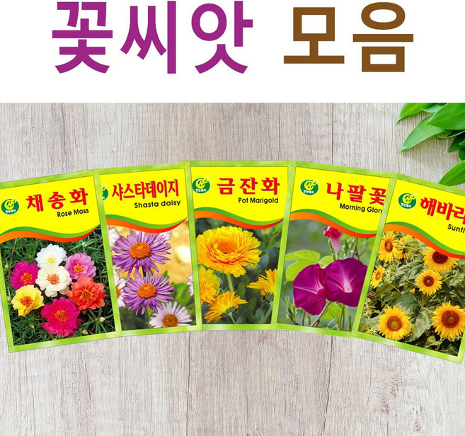 살아있는 꽃씨 야생화 키우기 다년생 채송화 다알리아 달맞이꽃 해바라기 맨드라미 봉선화 코스모스 메리골드 패랭이 접시꽃 사루비아 구절초 유채 백일홍 금잔화 꽃씨앗, S- 꽃씨-금잔화중포장, 1개