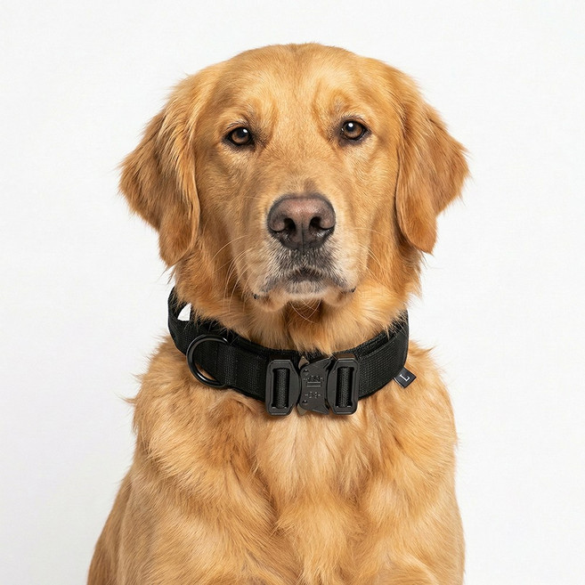 푸키 강아지 중형견 대형견 택티컬 세이프락 목줄, 1개, 블랙