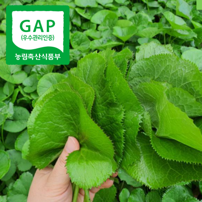 [산지직송] 강원도 양구곰취 곰취나물 곤달비, 1개, 1kg