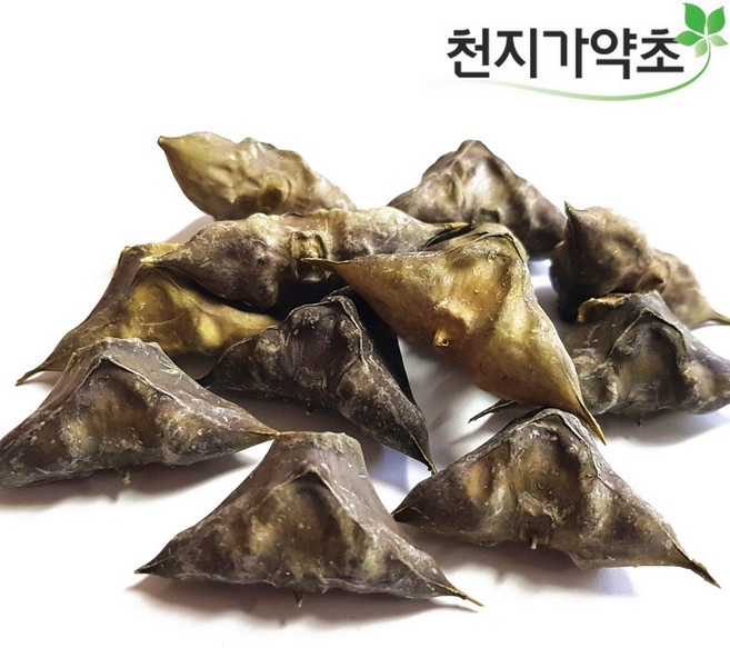 (롯데택배발송) 천지가약초 충남태안 햇 마름열매 200g 물밤 능실, 1개