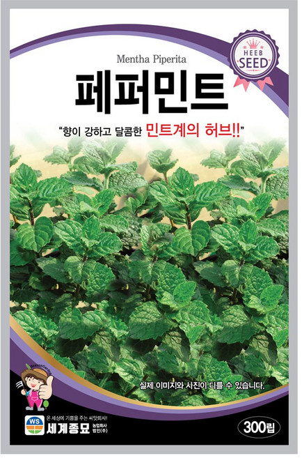모칸도 페퍼민트 씨앗 300립 세계종묘 허브씨앗, 1개