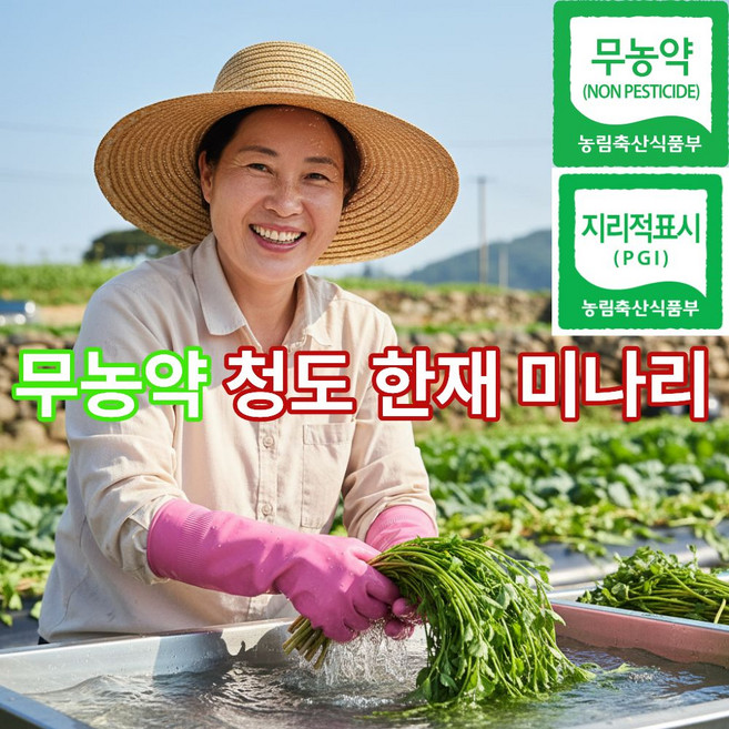 더맛곳간 국산 무농약 청도 한재 미나리 국내산 손질 세척, 1개, 500g