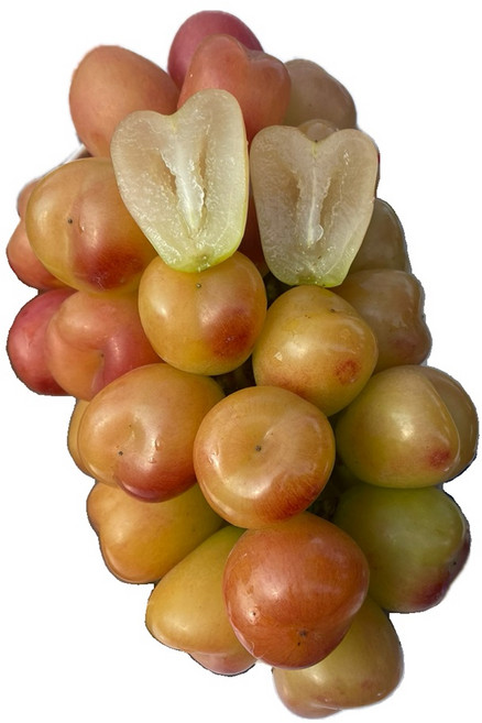 레드샤인머스켓 레드샤인 마이하트포도 마이하트 하트포도 씨없는적포도, 1박스, 2KG(3~4수)