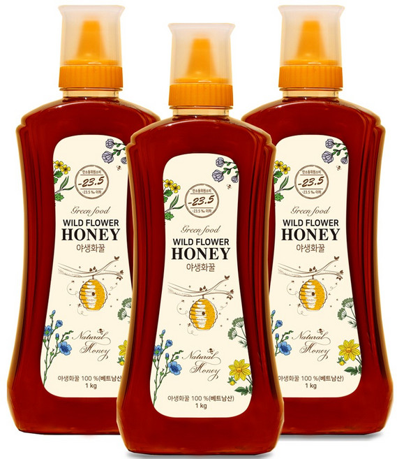 그린푸드 야생화꿀 베트남 자연벌꿀, 3개, 1kg