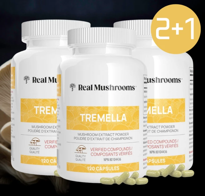 흰목이버섯 효소분해추출물 효능 캡슐 뇌 영양제 미국직배송, 120정, 3개 - 쿠팡