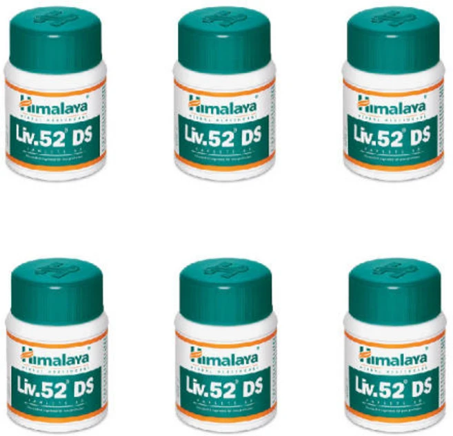 행복마트 빠른배송 5일내도착 히말라야 리브52 DS, 6통, 360정 - 쿠팡