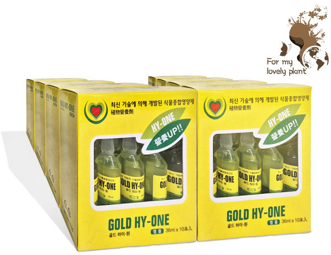 거목산업사 화분 화초 복합비료 식물영양제 앰플형 골드하이원 80개입, 8세트, 360ml