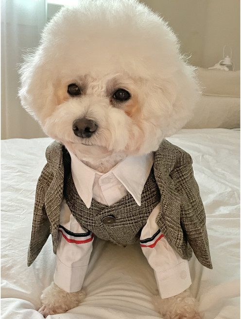 강아지옷 체크 조끼 자켓 정장 소형견 중형견, 차콜, 1개