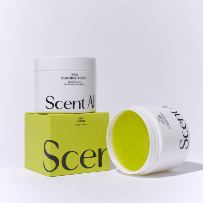 센트올 실내탈취제 블루밍프레쉬향 화장실 담배 새집증후군 실내 집안 홀애비 옷장 냄새 제거, 300g, 1개