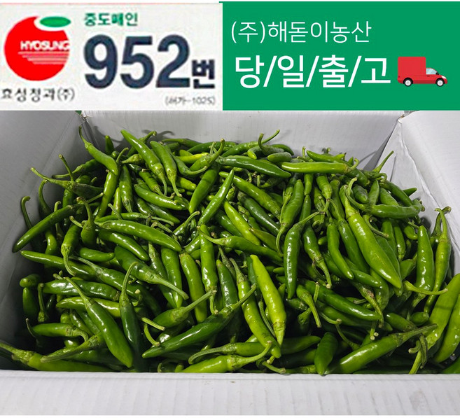 해돋이농산 국내산 청양고추 매운고추 못난이고추 1kg 2kg 3kg 5kg 10kg내외(상세페이지참조), 1개