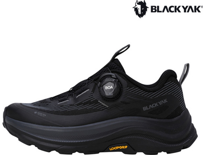 [블랙야크] 하이퍼 펄스 D GTX ABYSHXU958_BK