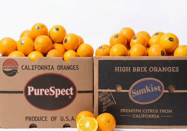 수입직송 초고당도 당도선별 블랙라벨 오렌지, 1박스, 6kg (40과)