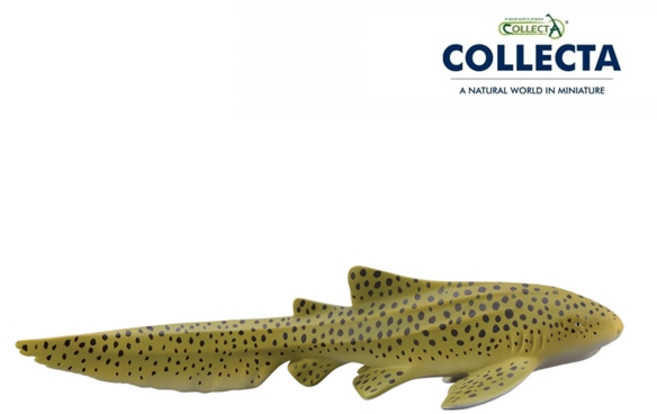 컬렉타 지브라상어 88614, 1개