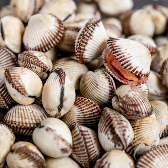 [최상품] 살이통통 벌교 꼬막 새꼬막, 1개, 1kg