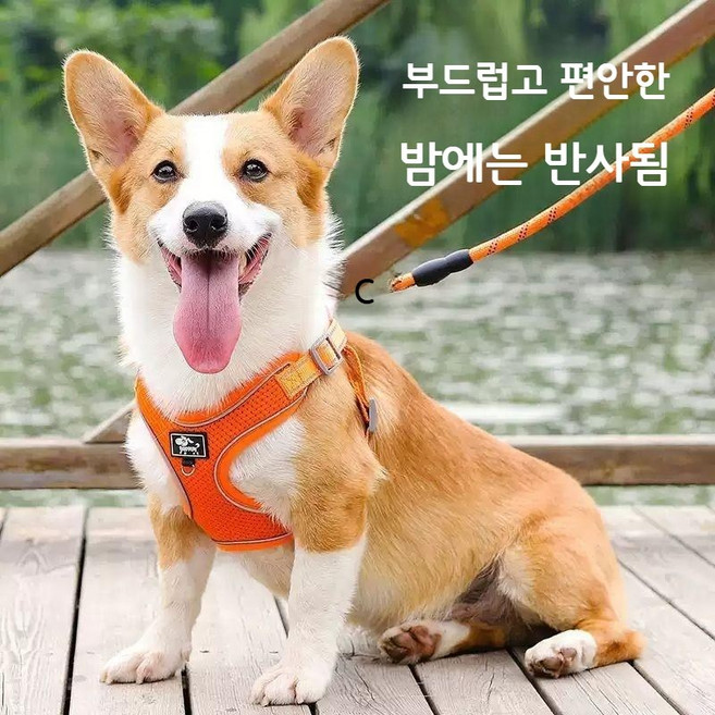 개 가죽 끈 조끼 유형 중소형 개 코기 시바견 칼라 개 산책 밧줄 조정 가능한 가슴 스트랩 개 체인, 1개, 패턴블루 단일스트랩