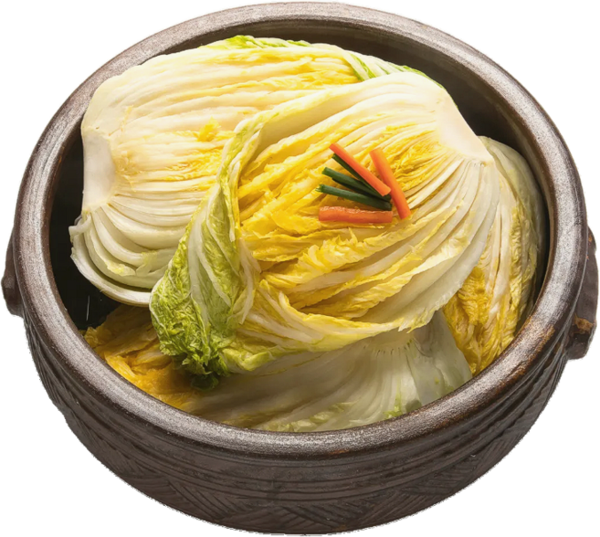 성은푸드 하루반찬 백김치 물김치, 1개, 5kg