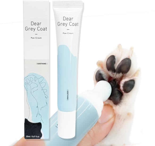 산책 강아지용 수분 진정 발바닥 크림 디어그레이코트, 1개, 20g