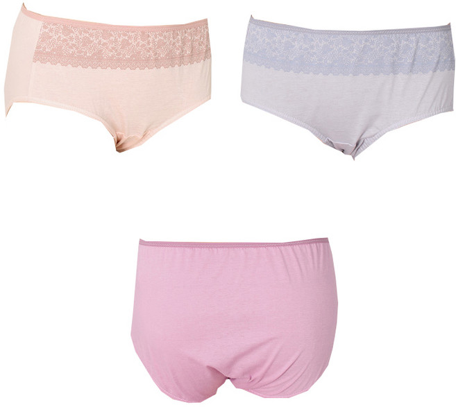 BYC 4513 순면 세미맥시 삼각팬티 3종 여성용