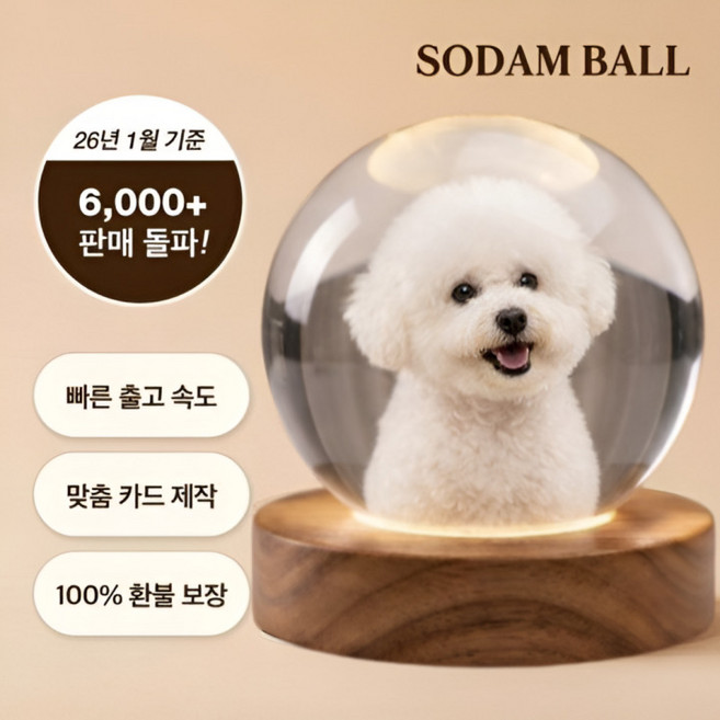 [맞춤 제작 상품] 강아지 고양이 3D각인 멍냥구슬 소담구슬, [어댑터 포함] 웜 라이트 조명