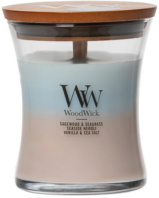 우드윅 병향초 미디엄 오셔닉, 275g, 1개