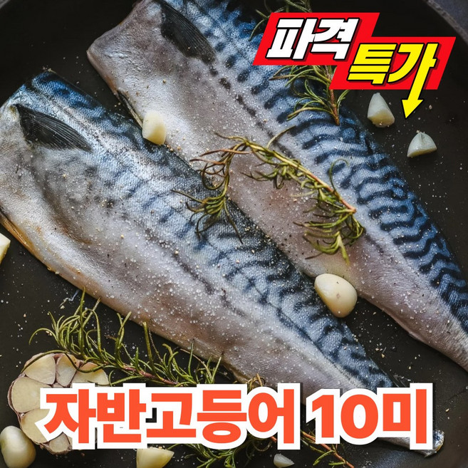 싱싱잇 국내산 자반 손질간고등어, 1개, 업소용(특대) 10미