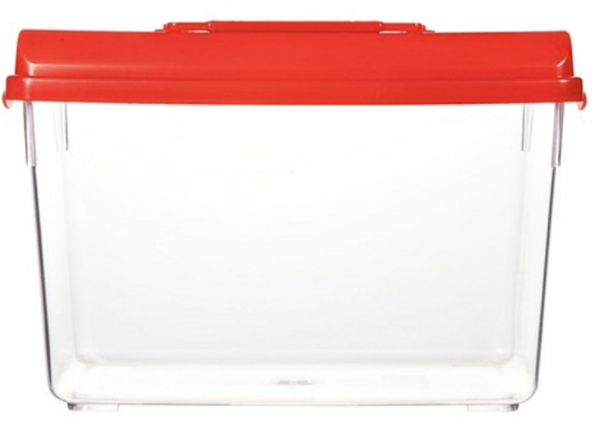 대일 채집통 MEDIUM (무색), 2개