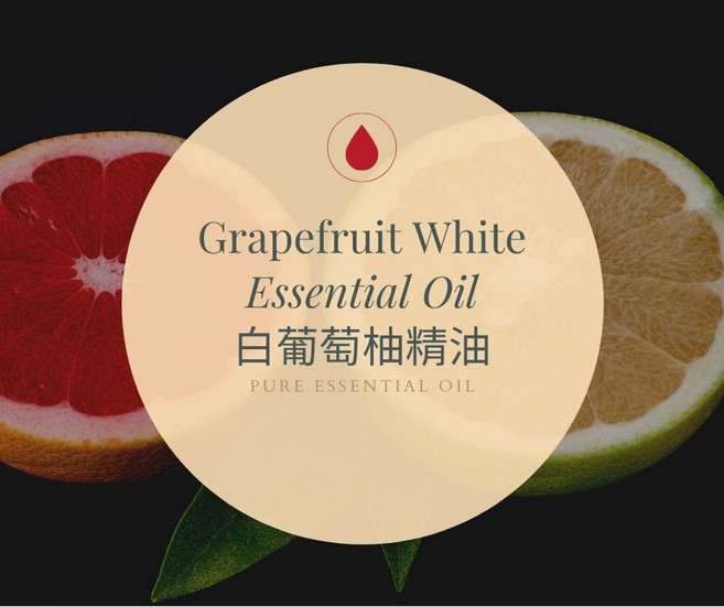 MORNEN AROMATHERAPY 白葡萄柚純精油, 10g, 1個, 10ml