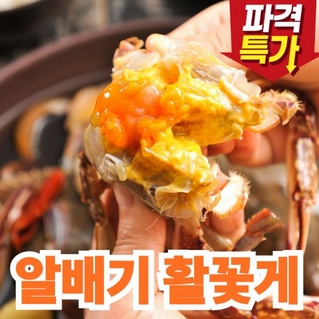 가성비 최강 봄 알배기 암꽃게, 1박스, 6미(1kg내외)