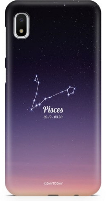 데이투데이 카카오 리틀프렌즈폰3 케이스 별자리 하드