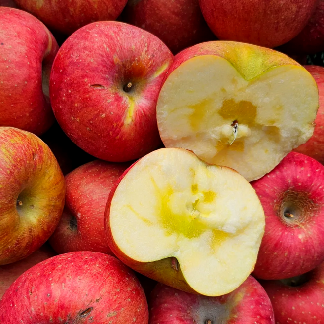 [은하수농장] 가정용 꿀사과 특가판매, 10.가정용흠과 사과 5KG / 중과, 1박스