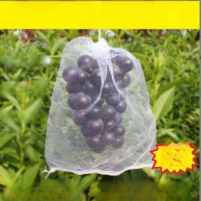 티류으스 양파망 화이트 그물주머니 50개 다용도 보관망 농산물 야채 채소 30x40 AB, 1개, 15x20