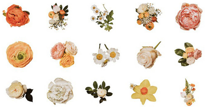 빈티지 로즈 장미 플라워 식물 감성 일러스트 다꾸 스티커 다이어리 데코 꾸미기