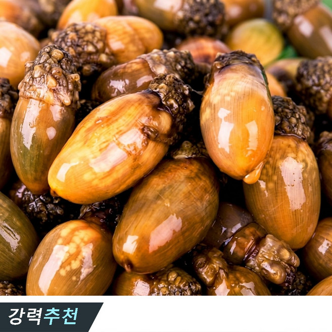[제철특가]통영 미더덕 산지직송 국내산 미더덕, 1개, 1kg