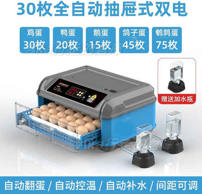 110V全自動蘆丁孵化機，小雞孵蛋器，小型家用智慧孵化箱，自動翻蛋，受熱均勻, 1個, 30枚全自動（雙電+溫度+天數）