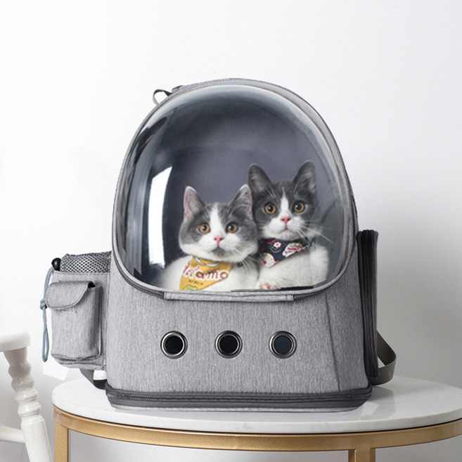 펫포에버 강아지 고양이 투명 우주선 백팩 고양이 이동장, 실버 그레이, 1개