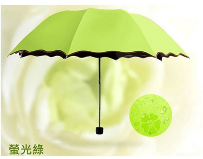 黑膠遇水開花反向傘-抗UV 防曬 遮陽 折疊 晴雨傘 樂邦