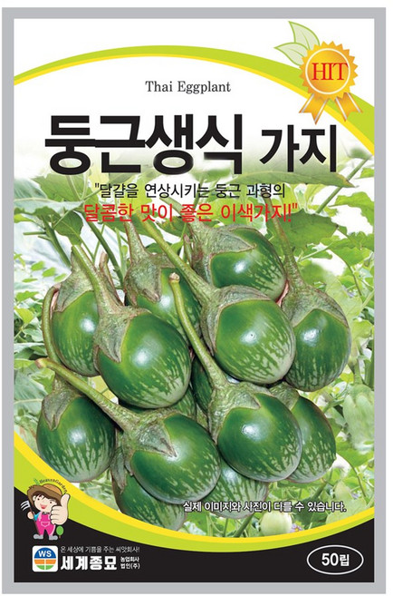 둥근생식가지 50립 / 가지 씨앗 종자 텃밭키우기 채소키우기, 1개