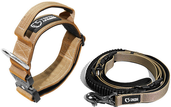 댕스랩 중형견 대형견 목줄 리드줄 세트, 베이지, 1개