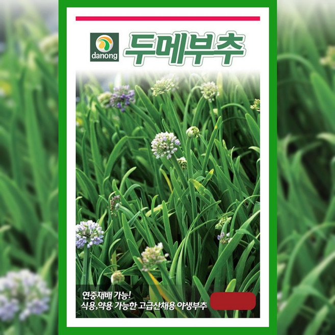 두메 부추 씨앗 100립 종자 산부추 채소 야채 산채 텃밭