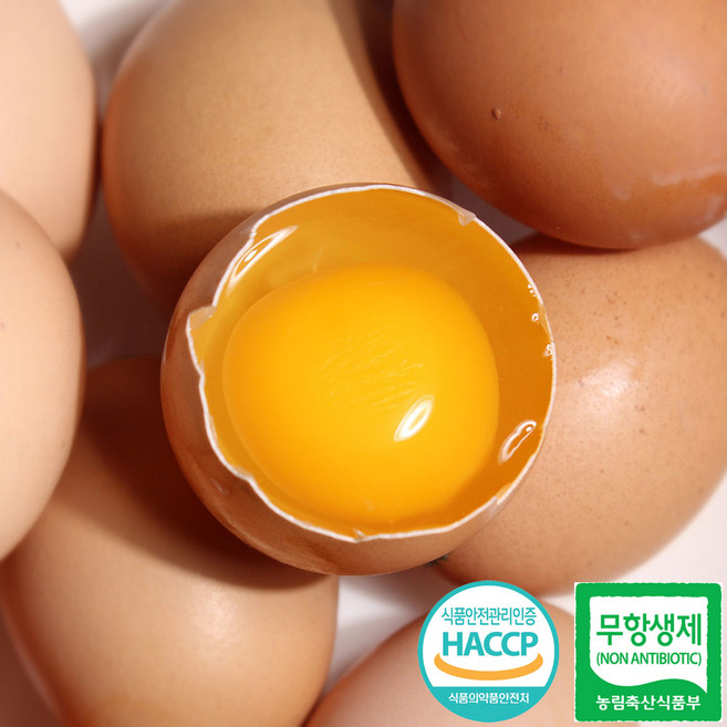 청년농부 유정란 무항생제 특란 생계란, 1개, 120구