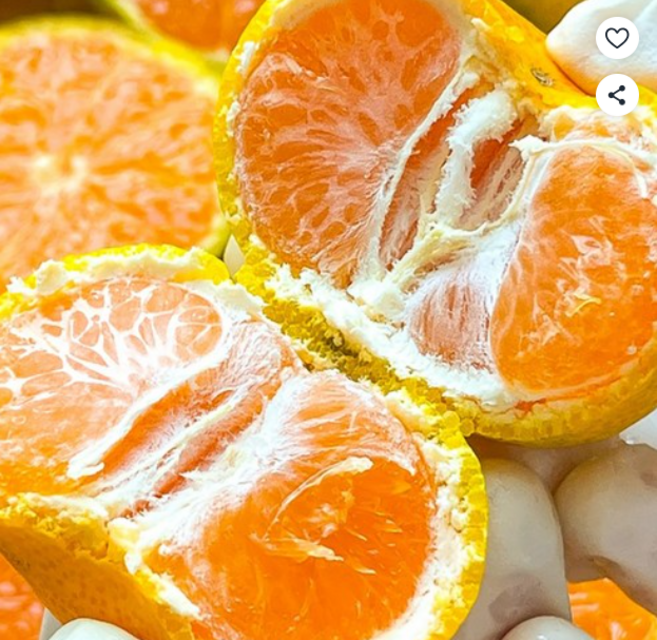 당도선별 제주 감귤 노지귤 제주직송 고당도 귤, 1박스, 5kg 대과 (2L)