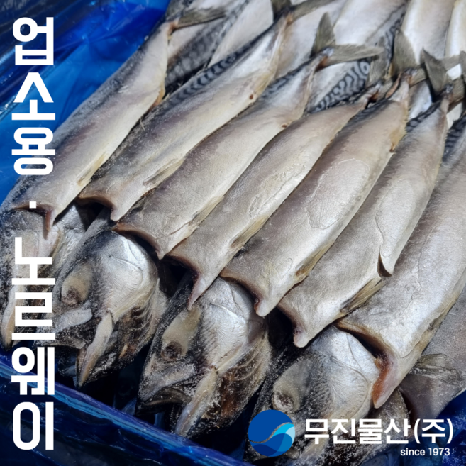 무진물산 노르웨이 자반 간고등어 업소용 대용량 벌크, 12개, 850g(왕특)