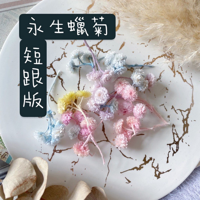 永生花材 永生不凋 短跟版 擴香石材料 香氛蠟燭配飾 花圈花材 乾燥花卡片材料 手作素材, 蠟菊