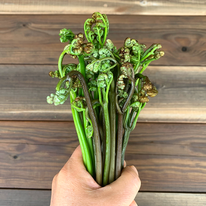 제로인제주 2026년 제주도 자연건조 햇 고사리 자연산 국산 건고사리, 200g, 1개