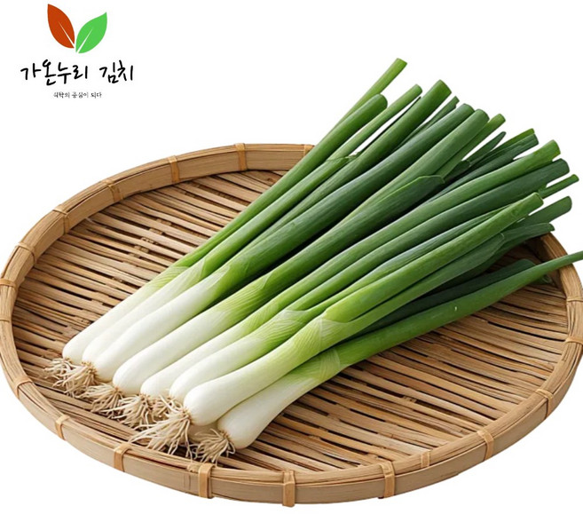 가온누리 김치 진도대파 산지직송 5kg 1개