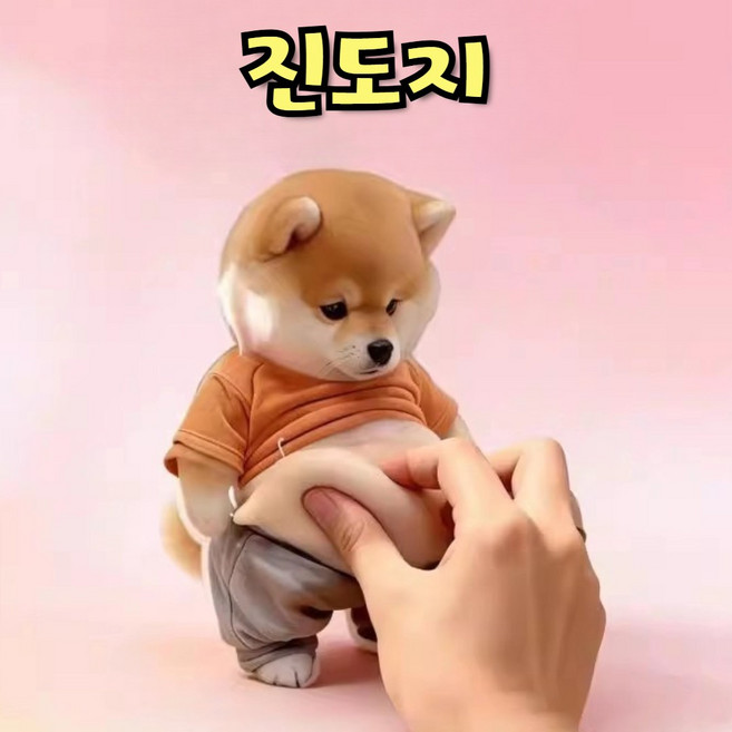 2026 NEW 시바이누 말랑이 냥이 스퀴시 SNS대란템 스트레스해소 볼 스퀴지 촉감놀이, 4개, 강아지