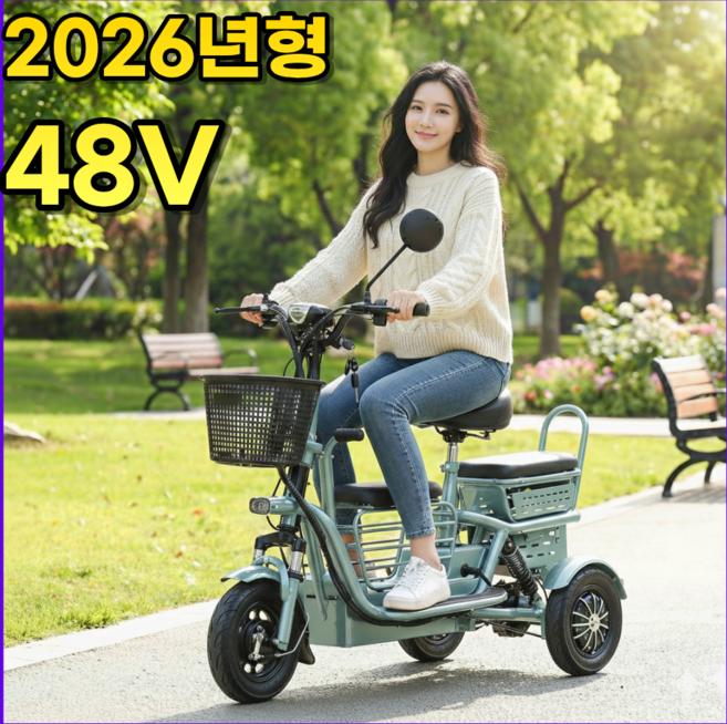 타보니 세발전기자전거 오토바이 스쿠터 2인승 3인승 여성용 성인용 노인용, 파스텔민트, 경량스틸