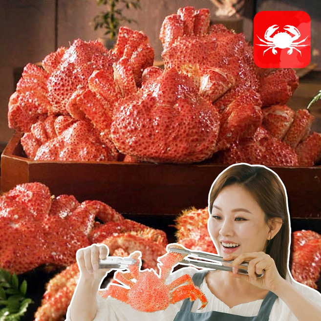 [NANUM-2025] 한농식 레드크랩 1마리당 400g 자연산 스노우 레드크랩 손질 제철 음식, 1세트, 3마리(약 1.2kg이상)