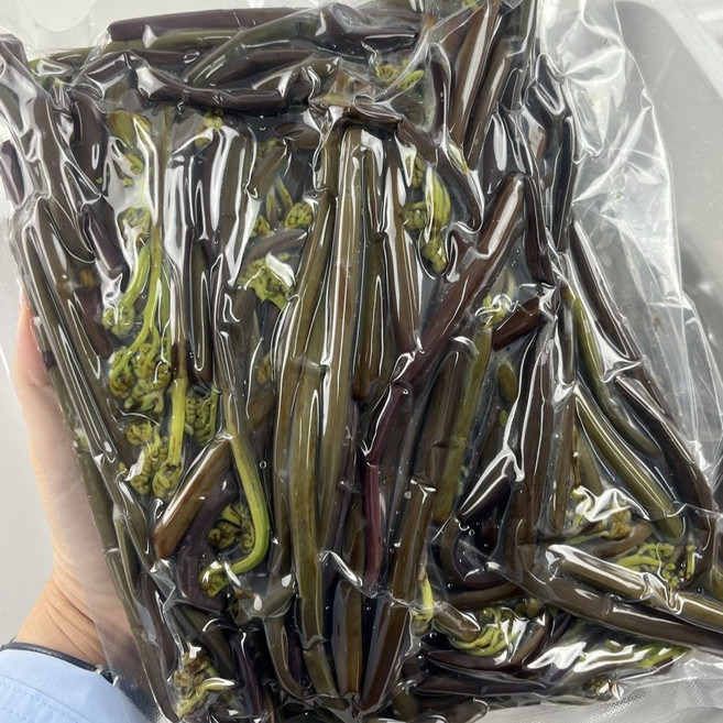 국산 삶은 고사리 섬고살 국내산 곡성 1팩 1k, 5개, 1kg